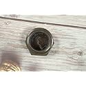 Nautical Sundial Compass Premium Hiking Compass Brass Pocket Compass (2.2 Inch Hexagonal Black Queen Vivtoria Compass)