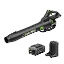 NovorikX 60V Cordless Leaf Blower with 2.5Ah Battery and Charger, 810 CFM 190 MPH Turbo, Brushless Motor, Variable Speed Dial, Lightweight Handheld Blower for Yard Lawn and Debris Cleanup