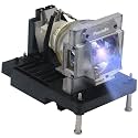NP22LP Replacement Projector Lamp Bulb for NEC NP-PX700W NP-PX750U NP-PX750U2 NP-PX800X PH1000U PH1000U PX700W PX700W2 PX700WG PX750U PX750U2 PX800X PX800X2 with Housing