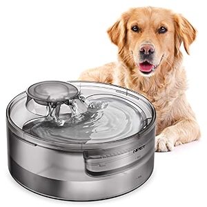 npet df10 dog water fountain 5l large automatic pet water dispenser cat water fountain with cleaning kit replacement filter for cat dogs multiple petsadapter not included