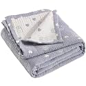 NTBAY 3 Layer Muslin Toddler Blanket, 30 x 40, Blue Rabbit