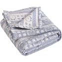 NTBAY 3 Layer Oversized Muslin Toddler Blanket, 45 x 60, Blue Bear