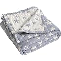 NTBAY 3 Layer Muslin Toddler Blanket, 30 x 40, Blue