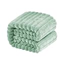 NTBAY Oversized Flannel Fleece Blanket, 50 x 60, Mint