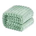 NTBAY Twin Flannel Fleece Blanket, 60 x 80, Mint