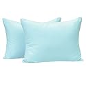 NTBAY Microfiber Zippered Toddler Pillowcases, 2 Pack Travel Pillow Covers, 13 x 18 Inches, Aqua