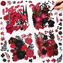 Nuanchu Black Red Dried Pressed Flowers for Craft Resin, Gothic Halloween