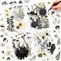 Nuanchu Black White Dried Pressed Flowers for Craft Resin, Halloween DIY