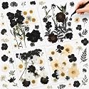 Nuanchu Black White Dried Pressed Flowers for Craft Resin, Gothic DIY Art
