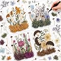 Nuanchu Dried Flowers Pressed Mushrooms for Resin Molds Crafts DIY Supplies