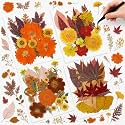 Nuanchu Fall Natural Dried Flowers Pressed for Crafts Resin Molds DIY Suppy