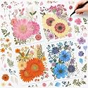 Nuanchu Large Dried Flowers Pressed for Crafts Resin Molds DIY Supplies