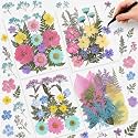Nuanchu Pastel Real Dried Pressed Flowers for Craft Resin Mold DIY