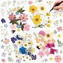 Nuanchu Real Dried Pressed Flowers for Craft Resin Mold DIY, Cottagecore