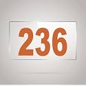 Numberplate 236 Room, Hotel, Hospital, Lodge,Apartment, Flat,Door No,College, Library, Rack Numbers Warehouse,Acrylic White Board Fixed with Brown Color PVC Waterproof Sticker