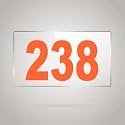 Numberplate 238 Room, Hotel, Hospital, Lodge,Apartment, Flat,Door No,College, Library, Rack Numbers Warehouse,Acrylic White Board Fixed with Orange Color PVC Waterproof Sticker