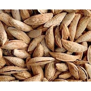 nurito premium almonds sitarbai almonds 500g