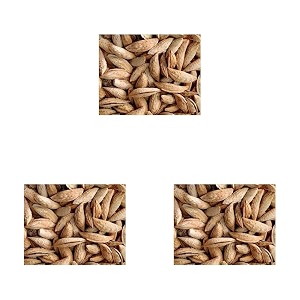 nurito kagazi badam 600 grams 200 grams x 3  thin shell almonds  light shell almonds packed with protein fiber and vitamins  badam with soft shell  easy to crack supports brain health and boosts energy  great nut snack option for office school or fitness enthusiasts