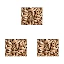 Nurito Kagazi Badam 600 Grams (200 Grams X 3) – Thin Shell Almonds | Light Shell Almonds Packed with Protein, Fiber, and Vitamins | Badam with Soft Shell – Easy to Crack, Supports Brain Health and Boosts Energy – Great Nut Sn
