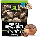 NUT CRAVINGS - Raw Brazil Nuts In Shell (16oz - 1 LB) Whole