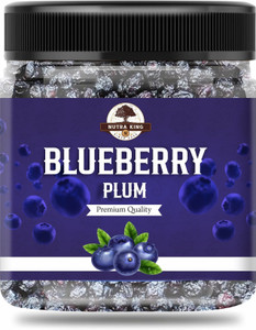 NUTRA KING Dried Blueberry Plum Unsweetened
