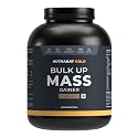Nutrabay Gold Bulk Up Mass Gainer Powder - 3kg, Chocolate | 30g Protein, 104g Carbs, 554 Calories | Easy to Digest | 100% Veg Muscle Building &amp; Weight Gainer Supplement for Men &amp; Women