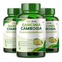 Nutrafirst Garcinia Cambogia Tablets 800mg (3x60 Tabs) | 70% HCA with Green Tea Extract | Supports Weight Management, Fat Metabolism & Craving Control | Improves Digestion | For Men & Women – Pack of 3