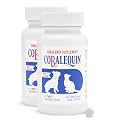 Nutramax Cobalequin B12 for Dogs and Cats, Oral Cobalamin Supplement with Folate, Vitamin B12 for Dogs Under 22 lbs. and Cats, Supports GI Health, Chewable Tablets, 45 Count (Pack of 2)
