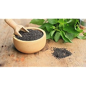 nutri desire basil seeds 900gm