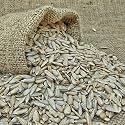 Nutri Desire (Sunflower Seeds, 400gm)