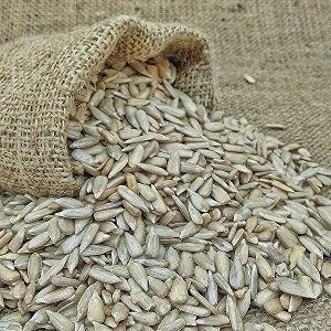 nutri desire sunflower seeds 900gm