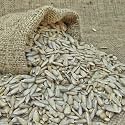 Nutri Desire (Sunflower Seeds, 900gm)
