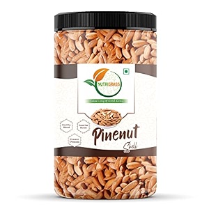 nutrigrass pine nuts with shell 500 gms  chilgoza inshell pine seeds jumbo size  jar pack  500 grams