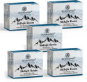 Nutriherbs Pure Himalayan Shilajit Resin Strenght, Stamina, Performance & Energy Booster (Pack of 5, 10 g)