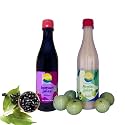 Nutrinat 2 in 1 Healthy Combo, Jamun &amp; Amla Fruit Juice Concentrates (Pack of 1), No Added Sugar
