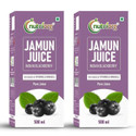 Nutriorg 100% Natural Jamun Juice | Helps Manage Blood Sugar, Boosts Immunity & Digestion (2 x 500 ml)
