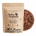 Nutty Organics Munaka Raisins 250 Gm | Nutritious| Rich in Iron | Tasty &amp; Healthy Nuts Dry Fruits | Rich in Protein