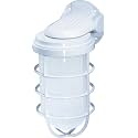 Nuvo Lighting SF76/617 Industrial Style Large Heavy Duty Aluminum Durable Outdoor Wall Mount Porch and Patio Light with Frosted Glass, White