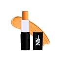 NY Bae All In One Stick -
