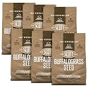 O.M. Scott & Sons Buffalograss Seed, 0.7 lb. (Pack of 6)