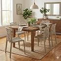 Oaknest Unboxing Furniture Supreme Web Plastic Chair| Armless Chair for Dining Room Set, Cafe and Restaurents | Weight Bearing Upto 220kg | 6 Months Warranty*| (Color: Champagne | Set of 4 Piece)