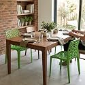 Oaknest Unboxing Furniture Supreme Web Plastic Chair| Armless Chair for Dining Room Set, Cafe and Restaurents | Weight Bearing Upto 220kg | 6 Months Warranty*| (Color: Parrot Green | Set of 2 Piece)