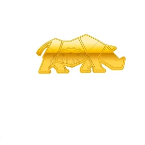 oan 3d chrome emblem automotive car bike badges logo self adhesive sticker rhinoceros gold - 10x5 cm pack of 1