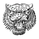 OAN 3D Chrome Emblem Automotive Car, Bike Badges Logo Self Adhesive Sticker (Tiger, Silver)