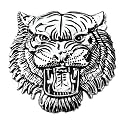 OAN 3D Chrome Emblem Automotive Car, Bike Badges Logo Self Adhesive Sticker (Rhinoceros Silver - 10x5 cm Pack of 1)
