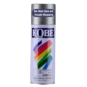 Oasis Kobe Acrylic Spray Paint - Fast