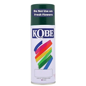 Oasis Kobe Colour Spray Paint Multi-Surface For