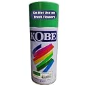 Oasis Kobe Colour Spray Paint Multi-Surface, Car & Bike, Art & Craft (Apple Green)