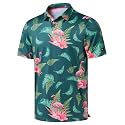 Obla Men's Golf Polo Shirts Print Short Sleeve Dry Fit Collared Shirt