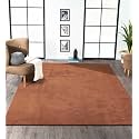 Obsessions Large Indoor Polyester Carpet with Solid